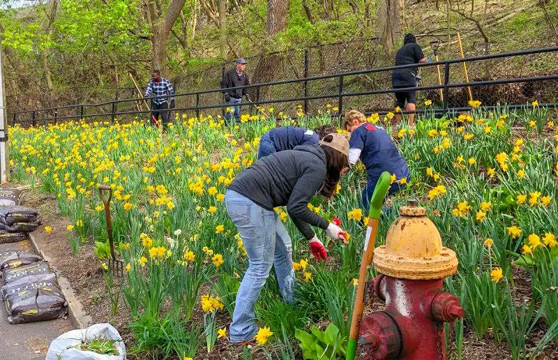 LGH members cleaning up a community garden